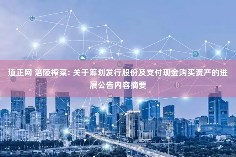道正网 涪陵榨菜: 关于筹划发行股份及支付现金购买资产的进展公告内容摘要