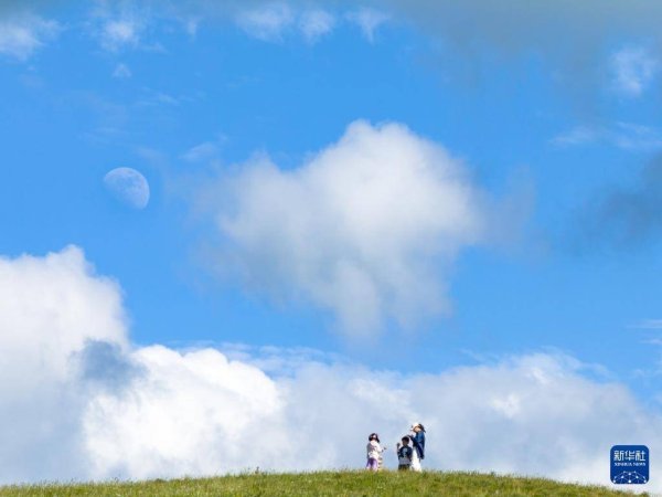 鸿岳资本配资 高山草原美如画
