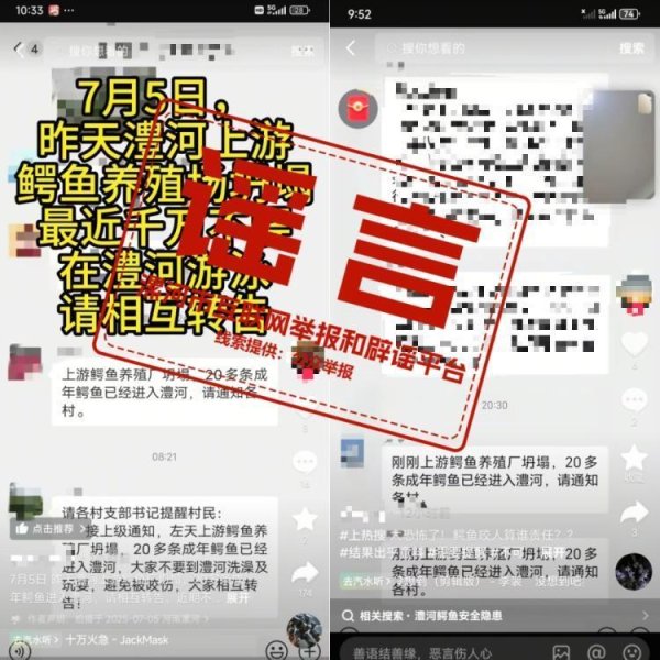 益上线 辟谣！网传“20多条成年鳄鱼进入澧河”系谣言！