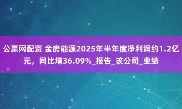 公赢网配资 金房能源2025年半年度净利润约1.2亿元，同比增36.09%_报告_该公司_业绩